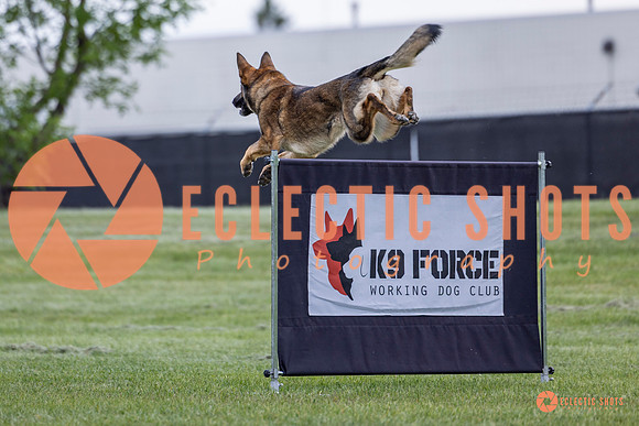2025-K9Force-MayExams-5469