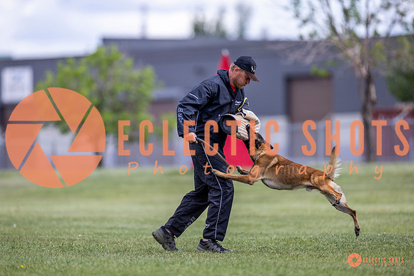2025-K9Force-MayExams-8544