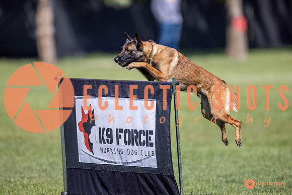 2025-K9Force-MayExams-8211