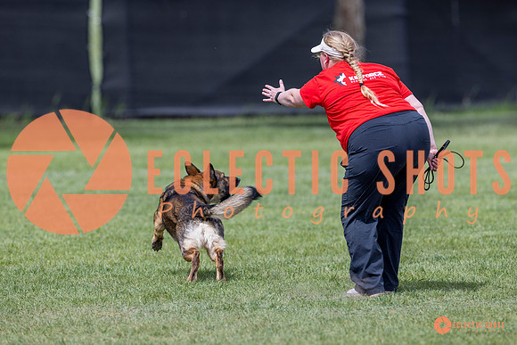 2025-K9Force-MayExams-7332