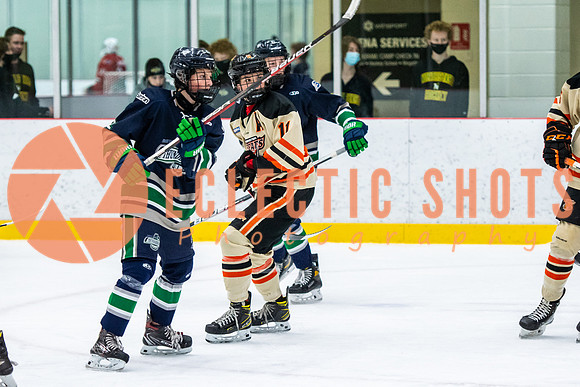 RMC2021-11-12-LloydBobcats-FVT-Birds-6174