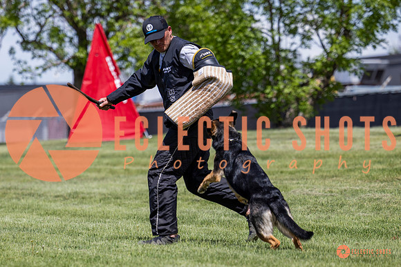 2025-K9Force-MayExams-7227
