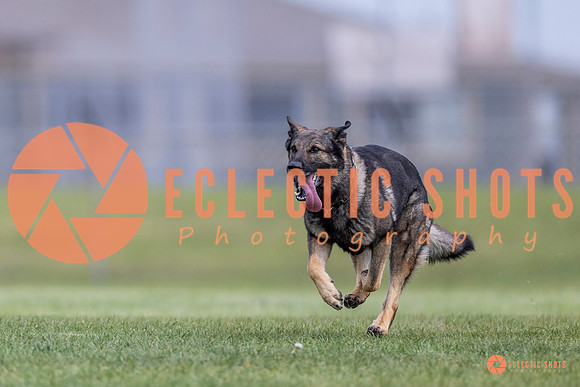2025-K9Force-MayExams-6567