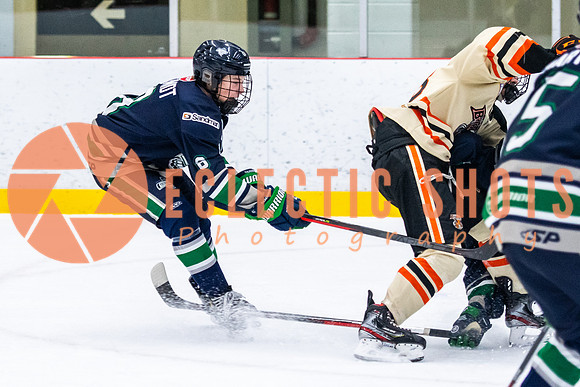 RMC2021-11-12-LloydBobcats-FVT-Birds-6056