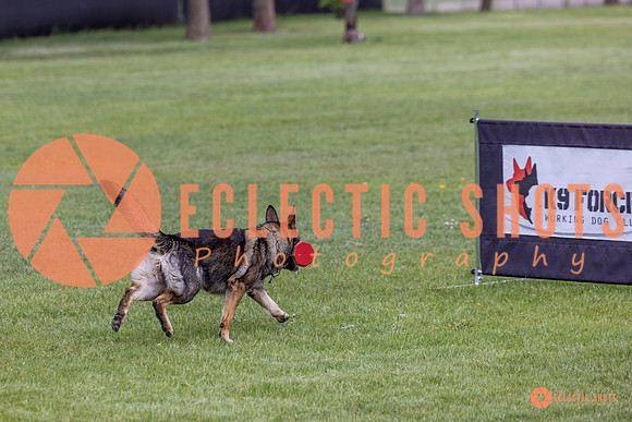 2025-K9Force-MayExams-5878