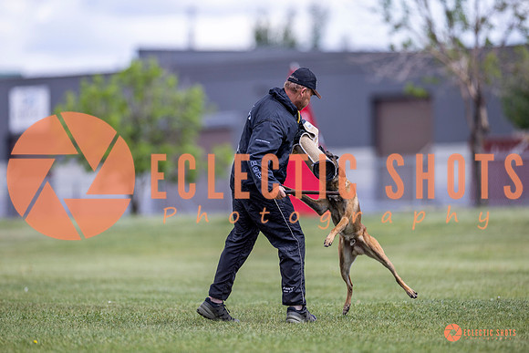 2025-K9Force-MayExams-8537