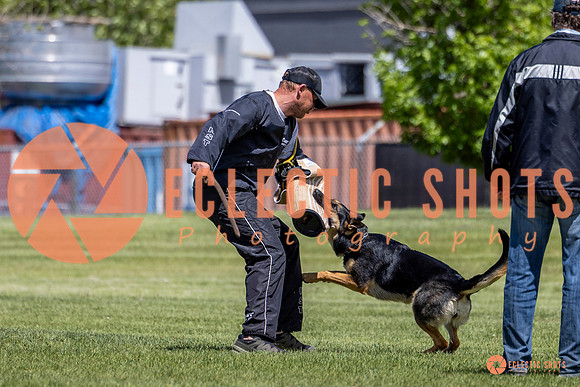 2025-K9Force-MayExams-7291-2