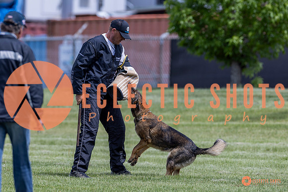 2025-K9Force-MayExams-7390