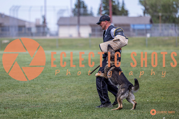 2025-K9Force-MayExams-6972