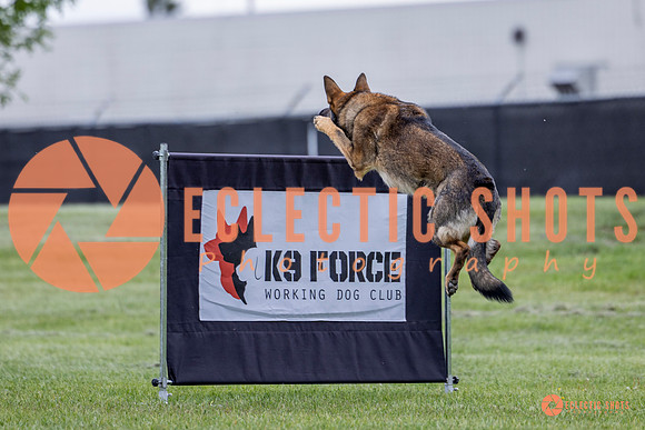 2025-K9Force-MayExams-5464