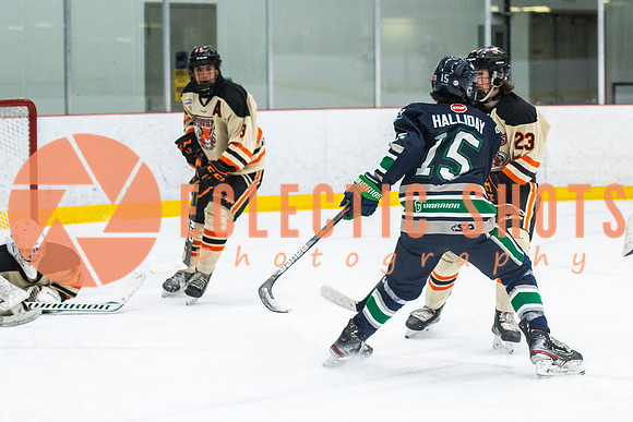 RMC2021-11-12-LloydBobcats-FVT-Birds-6096