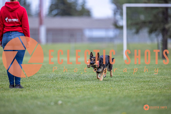 2025-K9Force-MayExams-6345