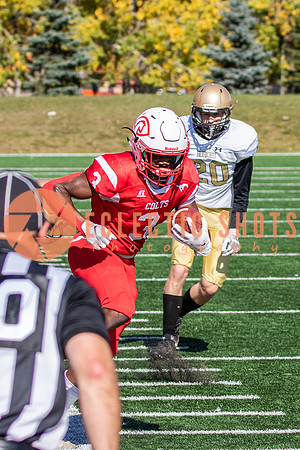 CalgaryColts-9771