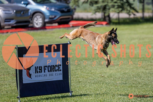 2025-K9Force-MayExams-7317