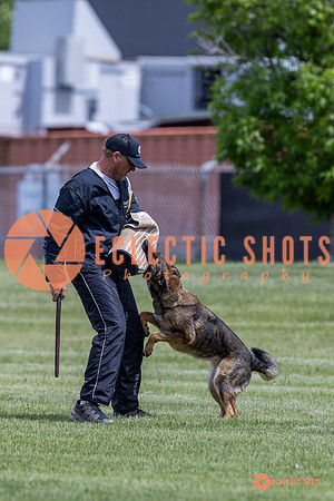 2025-K9Force-MayExams-7386