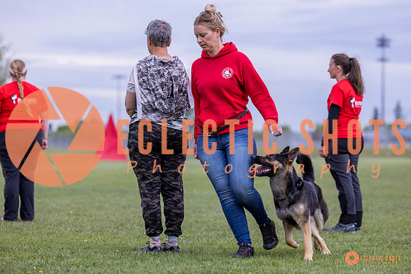 2025-K9Force-MayExams-5748