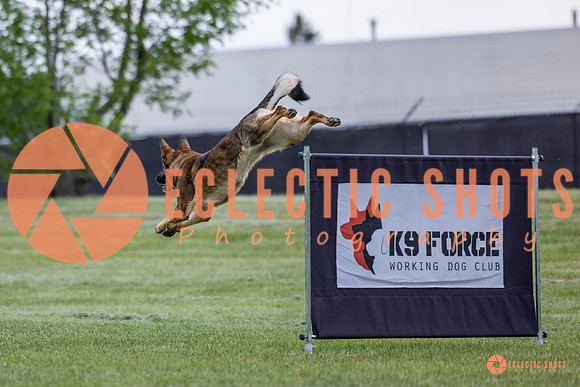 2025-K9Force-MayExams-5473