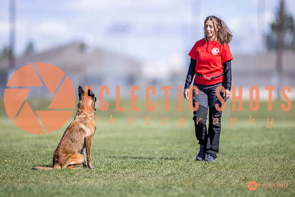 2025-K9Force-MayExams-8192
