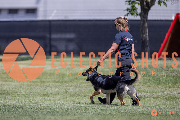 2025-K9Force-MayExams-8020