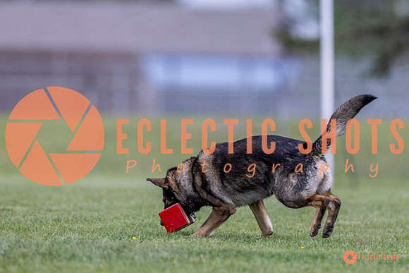 2025-K9Force-MayExams-6616