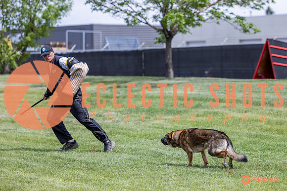 2025-K9Force-MayExams-6404
